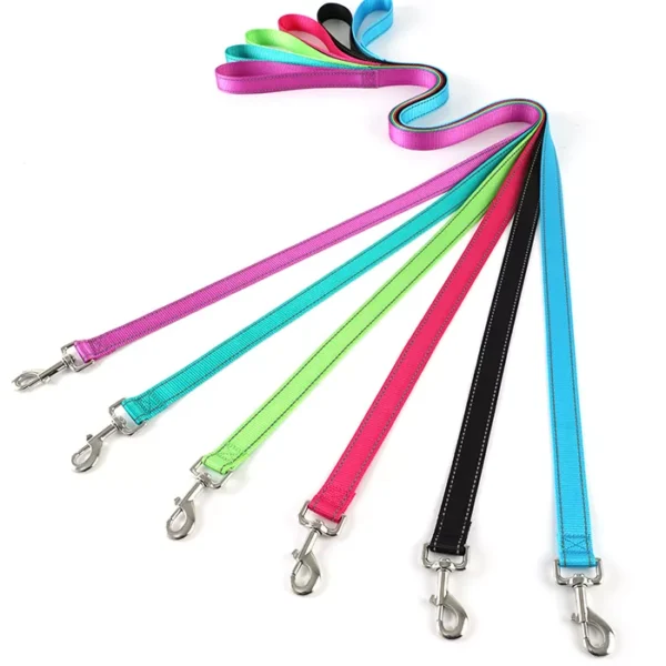 Buy Light Nylon Dog Leash Online in Kenya