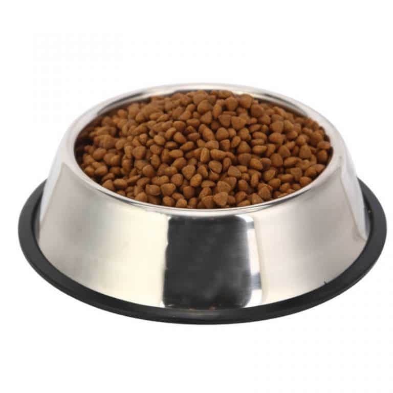 PetIcon Stainless Steel Feeding and Water Cat & Dog Bowl | Petsasa