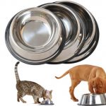Buy Stainless Steel Feeding and Water Cat & Dog Bowl from petsasa pet store in Nairobi Kenya