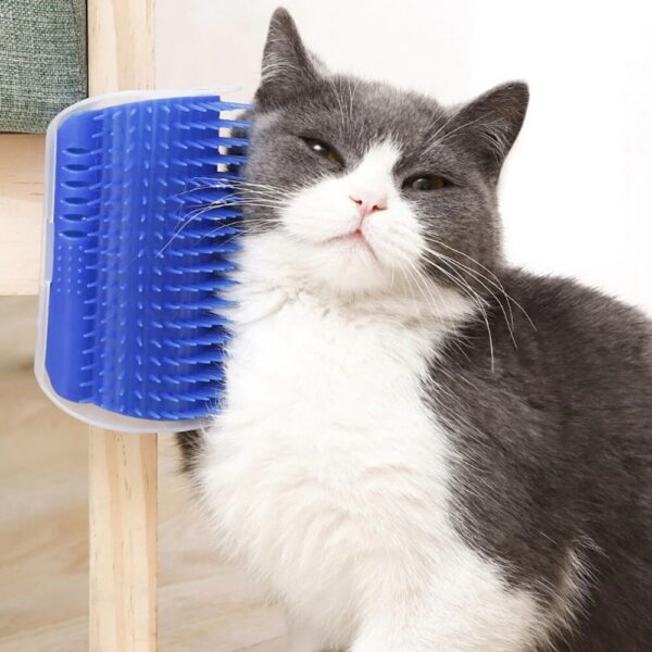 Buy Seld Groomer Cat Brush toy with catnip inside on Petsasa petstore kenya