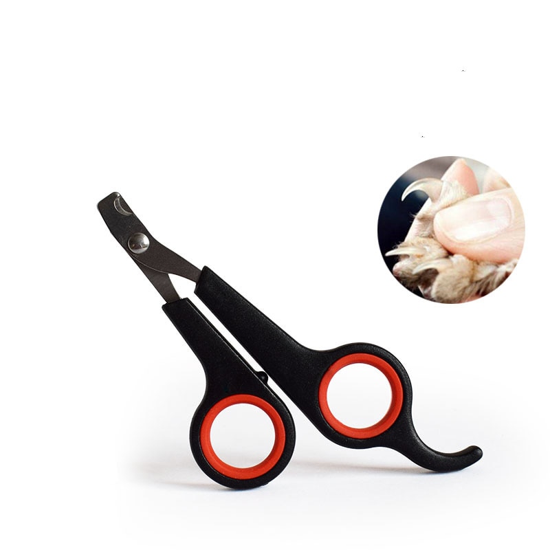 Buy dog outlet clippers