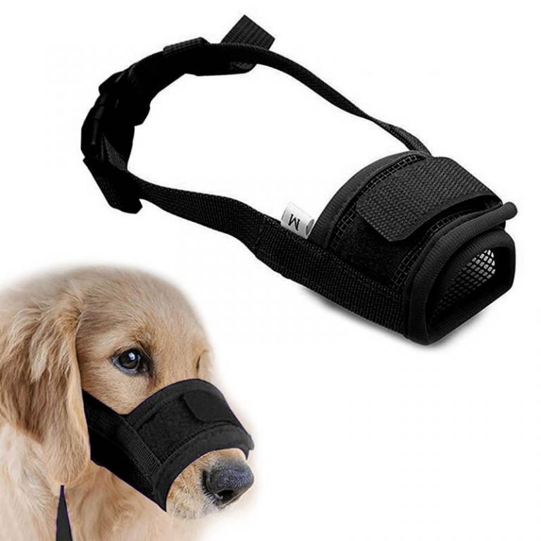Buy-Dog-Muzzle-for-Small-Large-Dogs-Adjustable-Pet-Mouth-Muzzles-for-Dogs-In-Nairobi-Kenya-On-Spawtive.co.ke