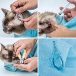 Buy-Multifunctional-Cat-Washing-Bag-Pet-Bathing-Nail-Trimming-Anti-Scratch-Bite-Restraint-Mesh-Cat-Grooming-In-Kenya-Spawtive