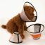 Buy Recovery Cone Collar for dog or cat in Kenya on spawtive veterinary