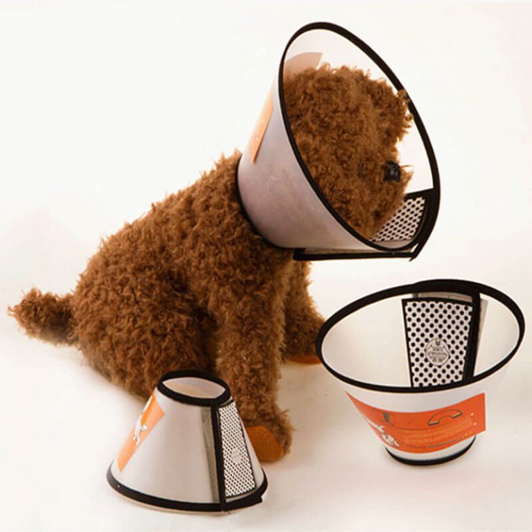 Buy Recovery Cone Collar for dog or cat in Kenya on spawtive veterinary