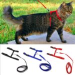 Cat-Harness-Leash-Adjustable-Pet-Traction-Cat-Kitten-Halter-Collar-in-kenya-on-spawtive.co.ke-