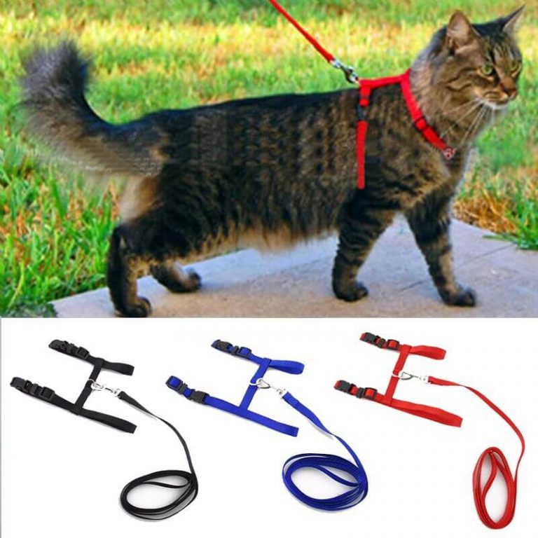 Cat-Harness-Leash-Adjustable-Pet-Traction-Cat-Kitten-Halter-Collar-in-kenya-on-spawtive.co.ke-