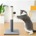 Cat Scratching Post with Hanging Toy