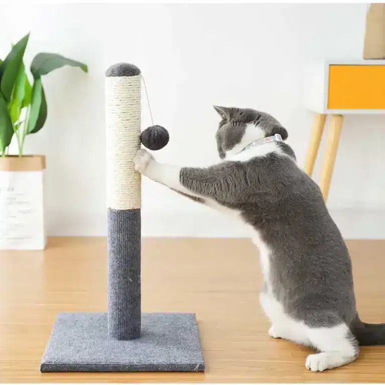 Cat Scratching Post with Hanging Toy