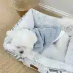 Lala Fleece Comfortable Dog Bed for Small Dogs and Puppies at Petstore Nairobi