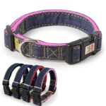 Military Grade Denim Dog Collar