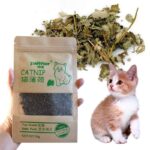 Natural-Premium-Catnip-For-Cat-Cattle-Grass-10g-Menthol-Flavor-In-Nairobi-Kenya-On-Spawtive