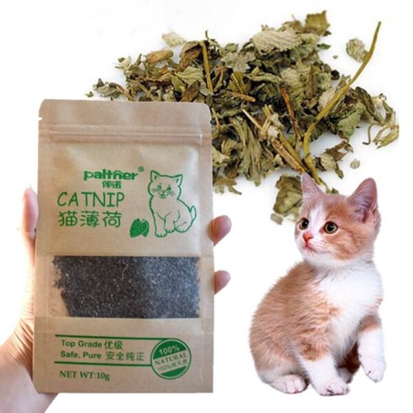 Natural-Premium-Catnip-For-Cat-Cattle-Grass-10g-Menthol-Flavor-In-Nairobi-Kenya-On-Spawtive