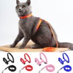 Pet-Cat-Harness-Leash-Adjustable-Cat-Harness-Breakaway-Nylon-Strap-Collar-with-Leash-Leads-for-cat-Kitten-in-kenya-spawtive.co.ke-