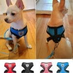 Best Small & Medium Breed Dog Harness +Free Leash in Kenya