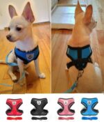 Best Small & Medium Breed Dog Harness +Free Leash in Kenya