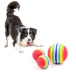 Rainbow Rubber Ball Toy for Dogs and Cats in Kenya