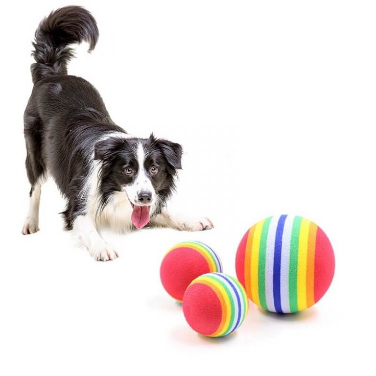 Rainbow Rubber Ball Toy for Dogs and Cats in Kenya