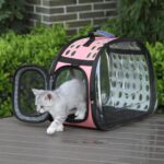 Transparent-Cat-Carrier-Fashion-Breathable-Mesh-Small-Animals-Shoulder-Bag-Outdoor-Slings-for-cats-puppies-in-kenya-sapwtive