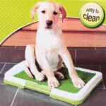 Buy 3 Layers' Dog Potty Pad Trainer in Kenya