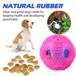 Buy Interactive Slow Food and Teeth Cleaning Throw Ball Dog Toy in Kenya