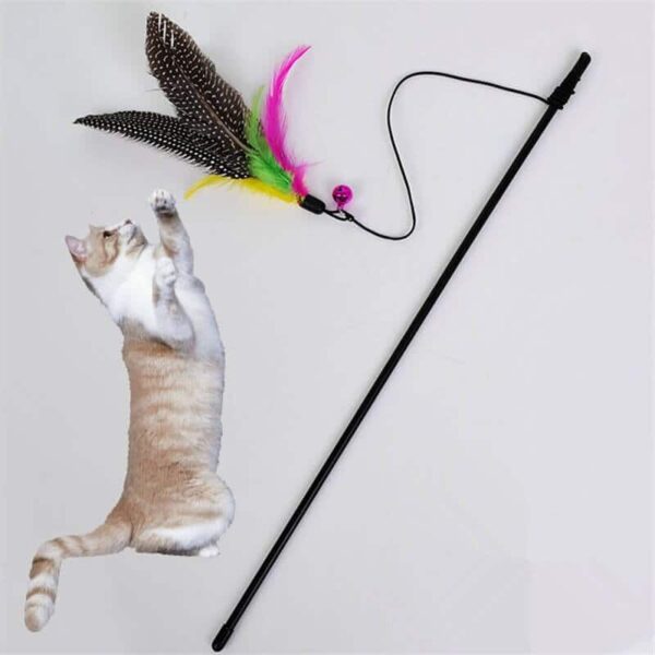 Buy Bird Feather Teaser Wand Cat Toy in kenya