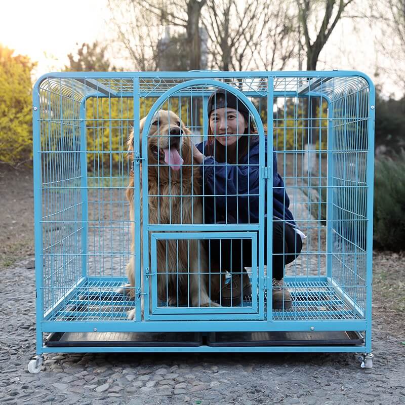 Buy Indoor Dog Crate with Wheels & Toilet Tray Petsasa