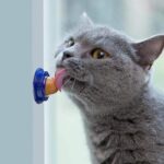 Buy Catnip Candy Cat Snack in Kenya on PetSasa