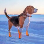 Buy Waterproof Anti-slip Reflective Pet Rain Boots Dog Shoes in Kenya