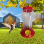 Best Hummingbird Bird Nectar Feeder Drinker in Nairobi Kenya on Petsasa