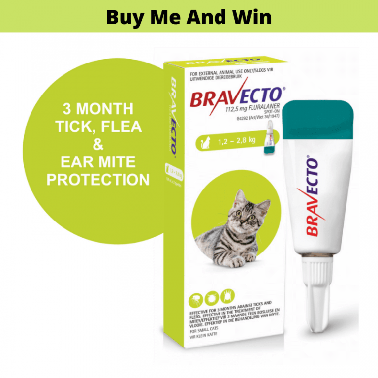 Petsasa Bravecto Spot-On Topical Solution for Small Cats 1.2-2.8 Kgs in Kenya