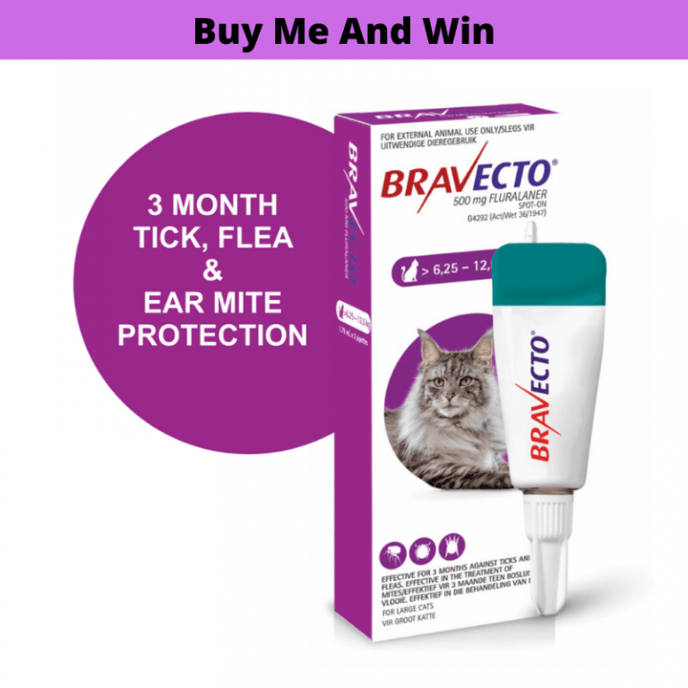 Petsasa-Kenya-Bravecto Spot On For Large Cats 6.25-12.5kg-flea-and-tick-solution