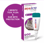 Petsasa-Kenya-Bravecto Spot On For Large Cats 6.25-12.5kg-flea-and-tick-solution