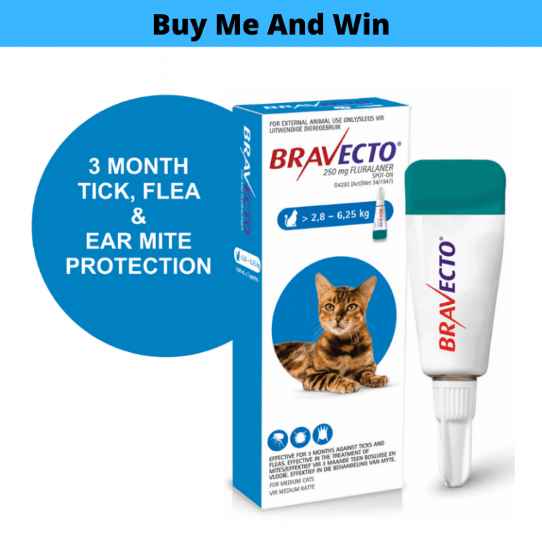 Petsasa-kenya-bravecto-spot-on-tropical-flea-tick-solution-for-medium-cats