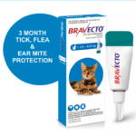 Petsasa-kenya-bravecto-spot-on-tropical-flea-tick-solution-for-medium-cats