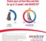 Bravecto Spot On For Large Cats 6.25-12.5kg - Image 4
