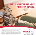 Bravecto Spot On For Large Cats 6.25-12.5kg - Image 3