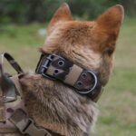 Military Tactical Dog Collar for K9 Big Dog on Petsasa Kenya