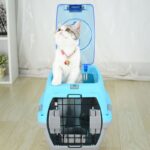 Best Airline Pet Carrier Dog Kennel Cat Dog Carrier in Kenya on Petsasa Petstore Kenya