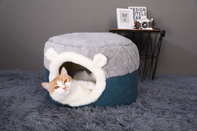 Petsasa best dog and cat bed house in Kenya petstore