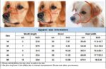 Size Guide For Basket Dog Muzzle for Small, Medium and Big Large Dogs