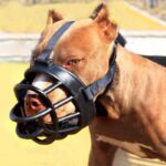 Buy Best Soft Silicone Basket Dog Muzzle on Petsasa Kenya Pet store