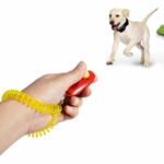 Buy Pet Simple Dog Training Clicker Training Tool Online in Kenya on Petsasa Pet Store in Nairobi