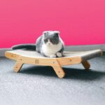 Buy Cat Lounge Bed in Kenya on Petsasa Petstore