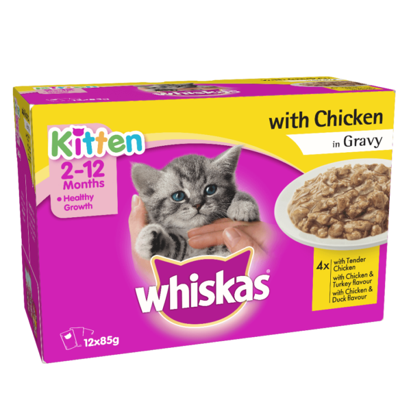 Buy Whiskas Kitten Wet Food, Tender chicken in Gravy, 12 Pouches in Kenya on Petsasa Pet store