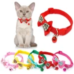 Bowknot Candy Adjustable Kitten Cat Collar Nairobi Kenya