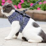 Buy Japanese Style Cat Vest Harness for Cats and Small Dogs in Kenya