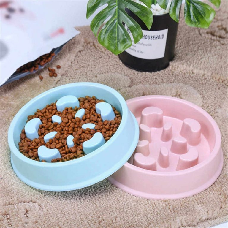 Buy Pet Slow Feeder Dog Bowl, Anti Skid in Kenya