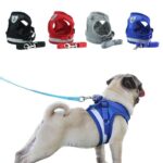 Buy Step-in Vest Dog Harness and Leash Set in Kenya for The Royal Pets