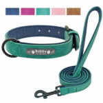 Buy Petsasa VIP Personalized Dog Collar, Leash and ID Tag Set in Kenya